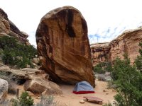 31957656_10155201688306930_1016025306152042496_o.jpg 31957656_10155201688306930_1016025306152042496_o.jpg