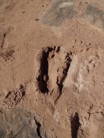 31944464_10155201687591930_8224799712562118656_n.jpg 31944464_10155201687591930_8224799712562118656_n.jpg