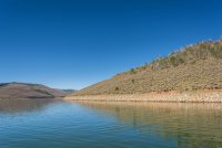 Scofield 20180294.jpg