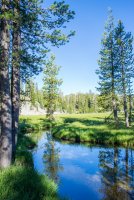 Sifford Lakes-10.jpg