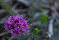 Emigrant Lake-11.jpg