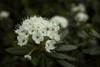 Emigrant Lake-15.jpg