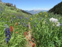 West Elk Wilderness Backpack  July 1-2,2018 058.jpg