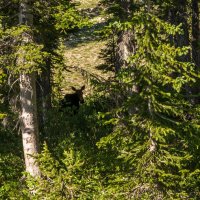 Catherine 7-20180933.jpg