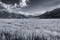 Oneida Narrows 7-20180206-bw.jpg