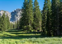 Albion Basin 7-18-180016.jpg