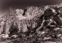 Albion Basin 7-18-180066-bw.jpg