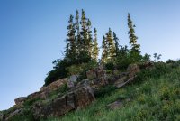 Albion Basin 7-18-180076-proc.jpg
