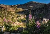 Albion Basin 7-18-180087-proc.jpg