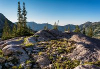 Albion Basin 7-18-180107-proc.jpg