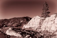 Albion Basin 7-18-180113-bw.jpg