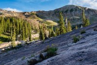 Albion Basin 7-18-180150-proc.jpg