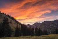 Albion Basin 7-18-180337-proc.jpg