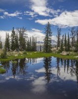 P7165498.jpg P7165498.jpg