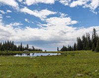 P7165517.jpg P7165517.jpg