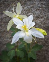 P7165570.jpg P7165570.jpg