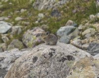 P7175689.jpg P7175689.jpg