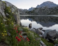 P7185905.jpg P7185905.jpg