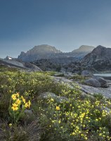 P7185928.jpg P7185928.jpg