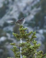 P7185953.jpg P7185953.jpg