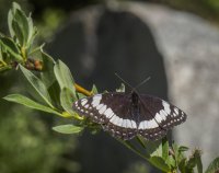 P7186048.jpg P7186048.jpg