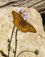 P7196150.jpg P7196150.jpg