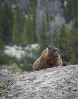 P7165560.jpg P7165560.jpg