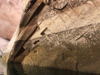 28203878-019C-4775-A566-5346EE448A84.jpeg 28203878-019C-4775-A566-5346EE448A84.jpeg