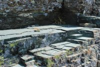 IMG_9450.jpg IMG_9450.jpg