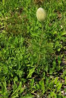 IMG_9490.jpg IMG_9490.jpg