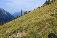 IMG_9533.jpg IMG_9533.jpg