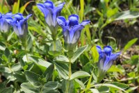 IMG_9624.jpg IMG_9624.jpg