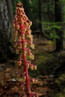 IMG_9634.jpg IMG_9634.jpg