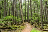 IMG_9635.jpg IMG_9635.jpg