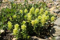 IMG_9698.jpg IMG_9698.jpg