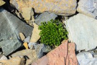 IMG_9703.jpg IMG_9703.jpg