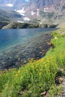 IMG_9794.jpg IMG_9794.jpg