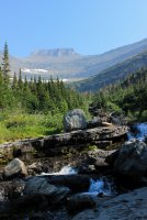 IMG_9881.jpg IMG_9881.jpg