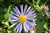 IMG_9910.jpg IMG_9910.jpg