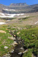 IMG_9926.jpg IMG_9926.jpg