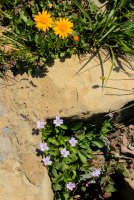 IMG_9950.jpg IMG_9950.jpg