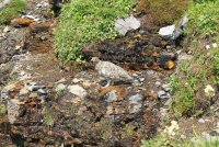 IMG_0007.jpg IMG_0007.jpg