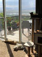 IMG_0668 2.JPG IMG_0668 2.JPG