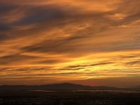 IMG_1972.JPG IMG_1972.JPG