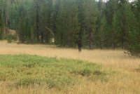 Notch_01.jpg Notch_01.jpg