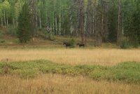 Notch_02.jpg Notch_02.jpg