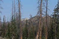 Notch_05.jpg Notch_05.jpg