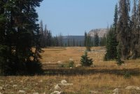 Notch_07.jpg Notch_07.jpg