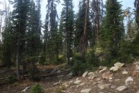 Notch_11.jpg Notch_11.jpg