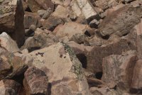 Notch_14.jpg Notch_14.jpg